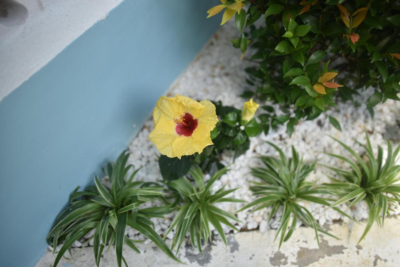 Lovely Homestay Hue Exterior foto